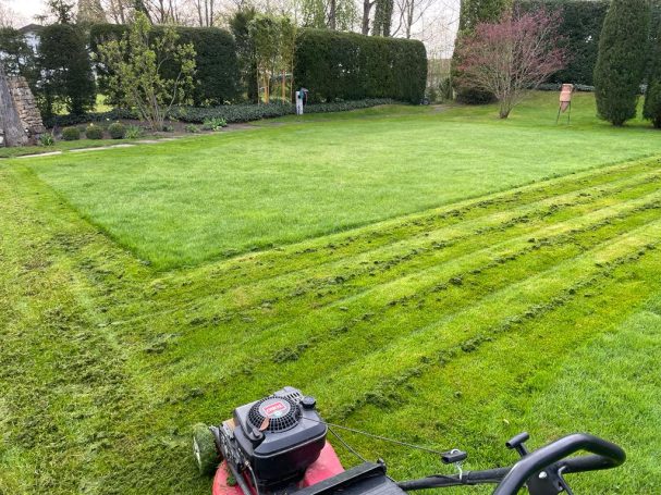 Fertiges Gartenbauprojekt